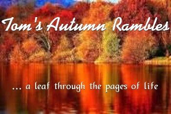 Toms Autumn Rambles with Joseph T.Riach