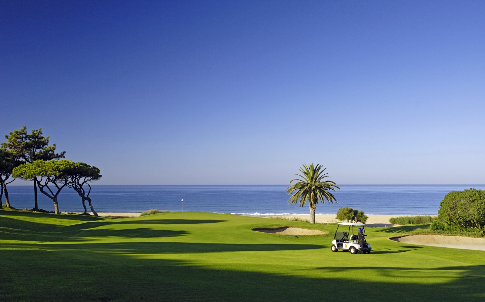 algarvecaronline
